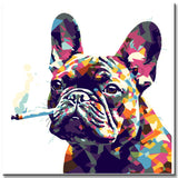 Multicolor Bulldog - Painting by Numbers
