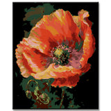 Passionate Poppies: Paint by Numbers