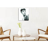 Painting by Numbers Audrey Hepburn