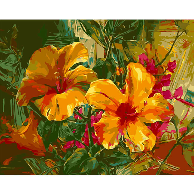 Painting by Numbers Flowers Irises Orange