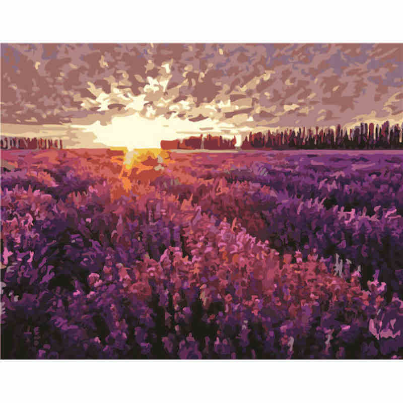 Painting by Numbers Pictures Lavender Field