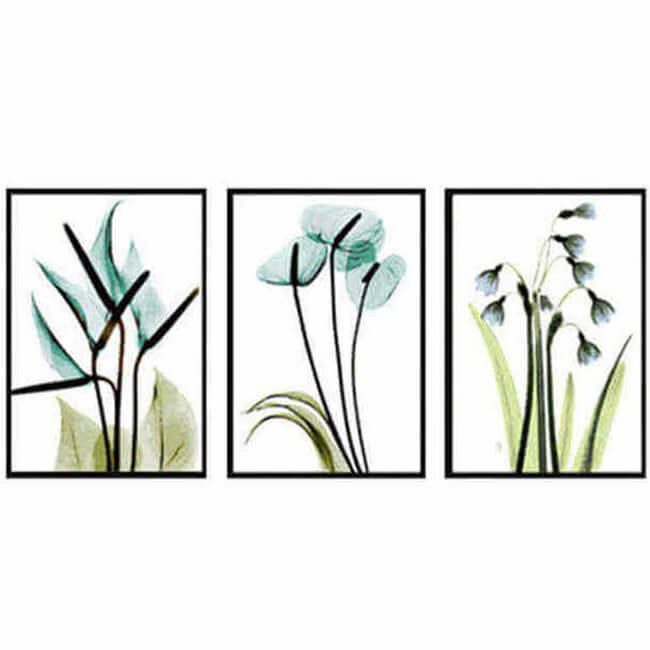 Paint by Numbers Triptych Plants