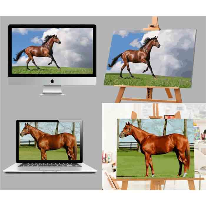 Production Process for Personalized Paint by Numbers:
