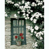 Painting by Numbers Climbing Plant White