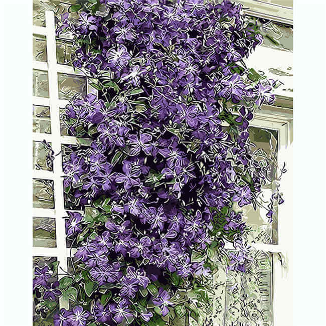 Painting by numbers climbing plant blue-purple