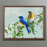 Painting by Numbers Birds on Flower VIne