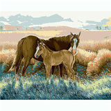 Painting by numbers horse and foal