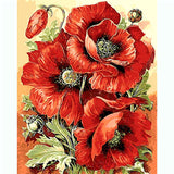 Pictures Painting by Numbers Poppies