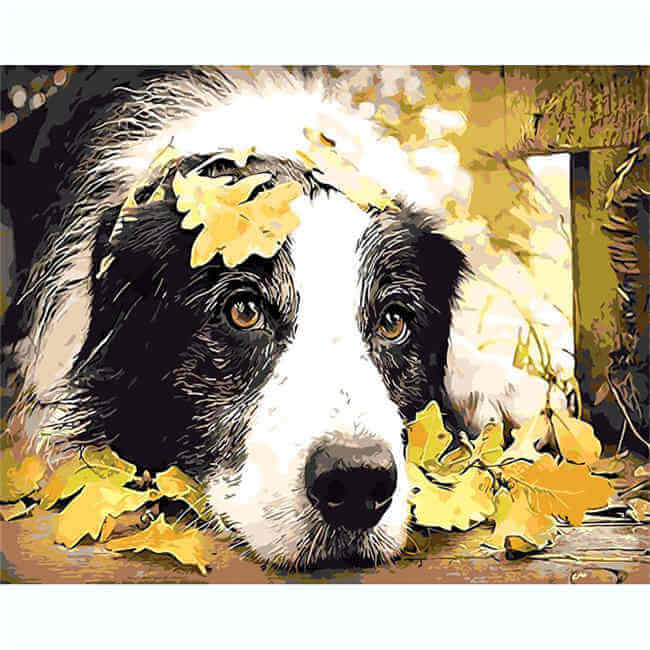 Painting by numbers Loyal dog look