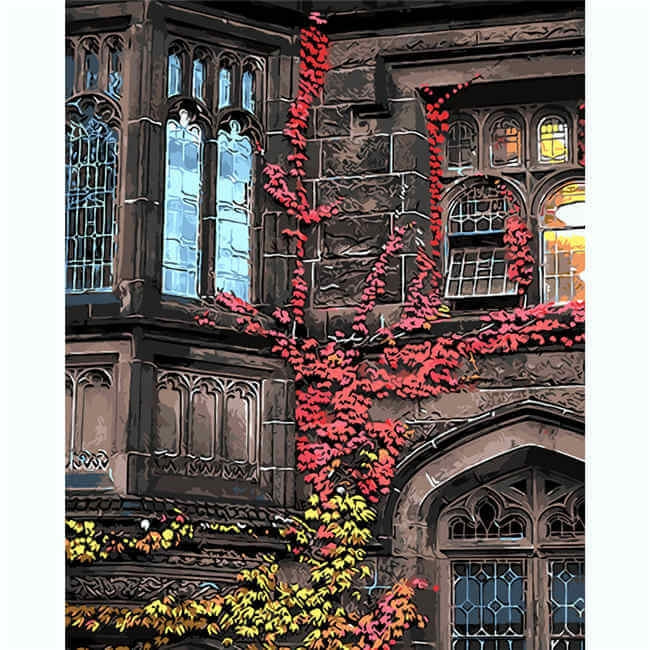 Painting by Numbers Pictures Autumn Vines