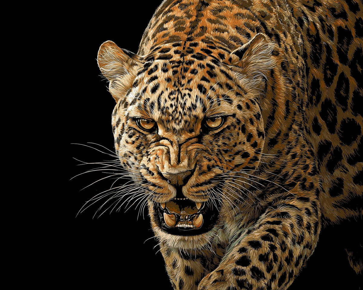 Painting by Numbers Animals Leopard