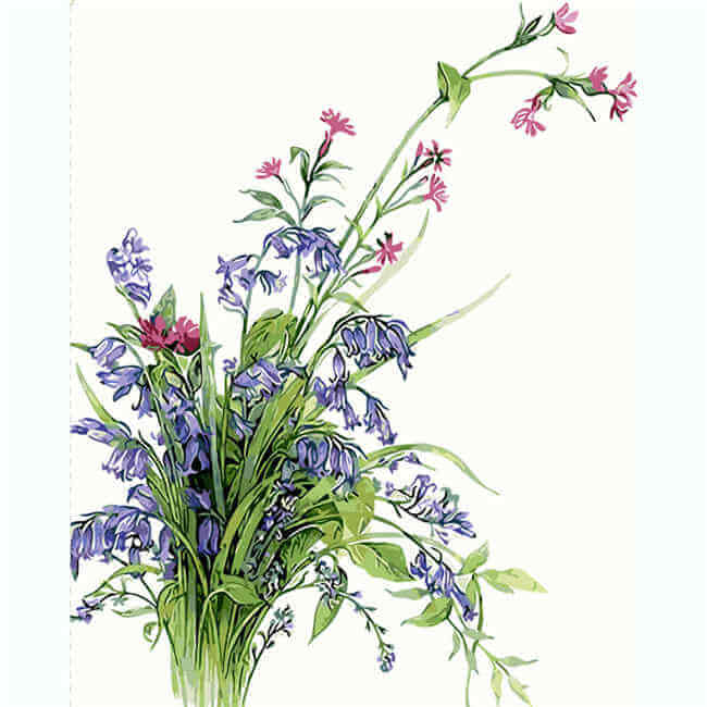 Painting by numbers meadow flowers
