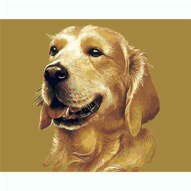 Painting by Numbers Dog Beige Labrador