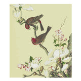 Painting by Numbers Birds and Flowers Animals