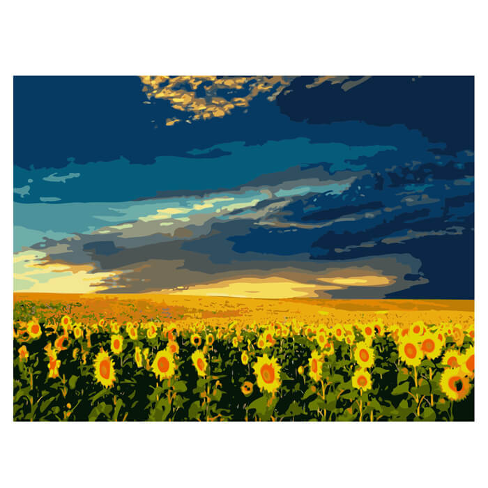 Painting by Numbers Sunflower Field