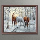 Painting by Numbers Horses by The Pond in Winter