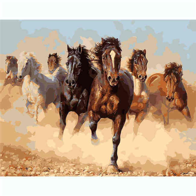 Painting by Numbers Animals Herd of Horses Galloping