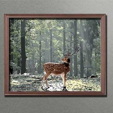 Painting by Numbers Horses Black White Horse