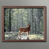 Painting by Numbers Horses Black White Horse