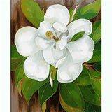 Painting by Numbers Flower White