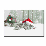Painting by Numbers Santa Claus Cat