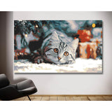 Paint by Numbers Christmas Cat
