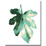 Paint by Numbers Oak Leaf