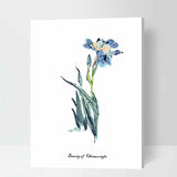Painting by Numbers for Adults Flowers Irises