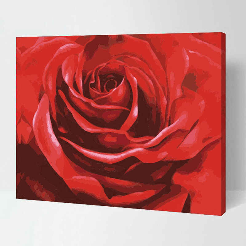 Paint by Numbers for Adults Rose