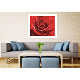 Paint by Numbers for Adults Rose