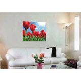 Painting by Numbers for Adults Flowers Tulip Field