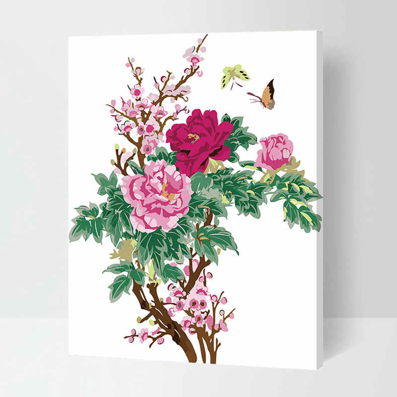 Painting by Numbers Carnations with Butterfly