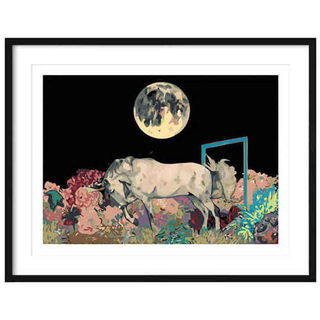 Painting by Numbers Animals Unicorn