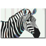Painting by Numbers Zebra Animal