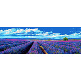 Painting by Numbers Lavender Field