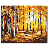 Painting by Numbers forest Birch Trees