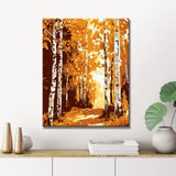 Painting by Numbers forest Path