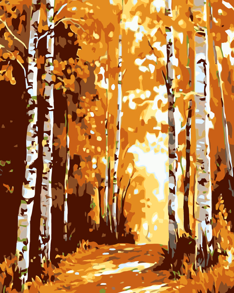 Painting by Numbers forest Path