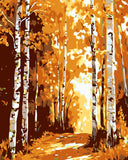 Painting by Numbers forest Path