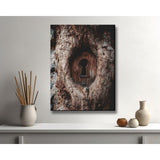 Painting by Numbers Door Lock Dragonfly