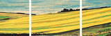 Painting by Numbers Agriculture - 3-Panel (Triptych)