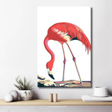 Painting by Numbers Flamingo Animals