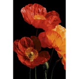 Paint by Numbers Flowers