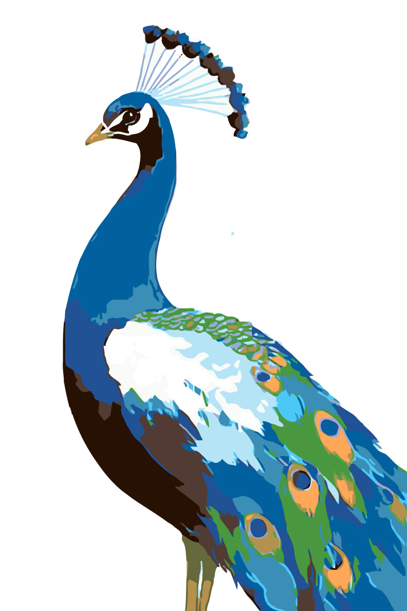 Painting by Numbers Peacock