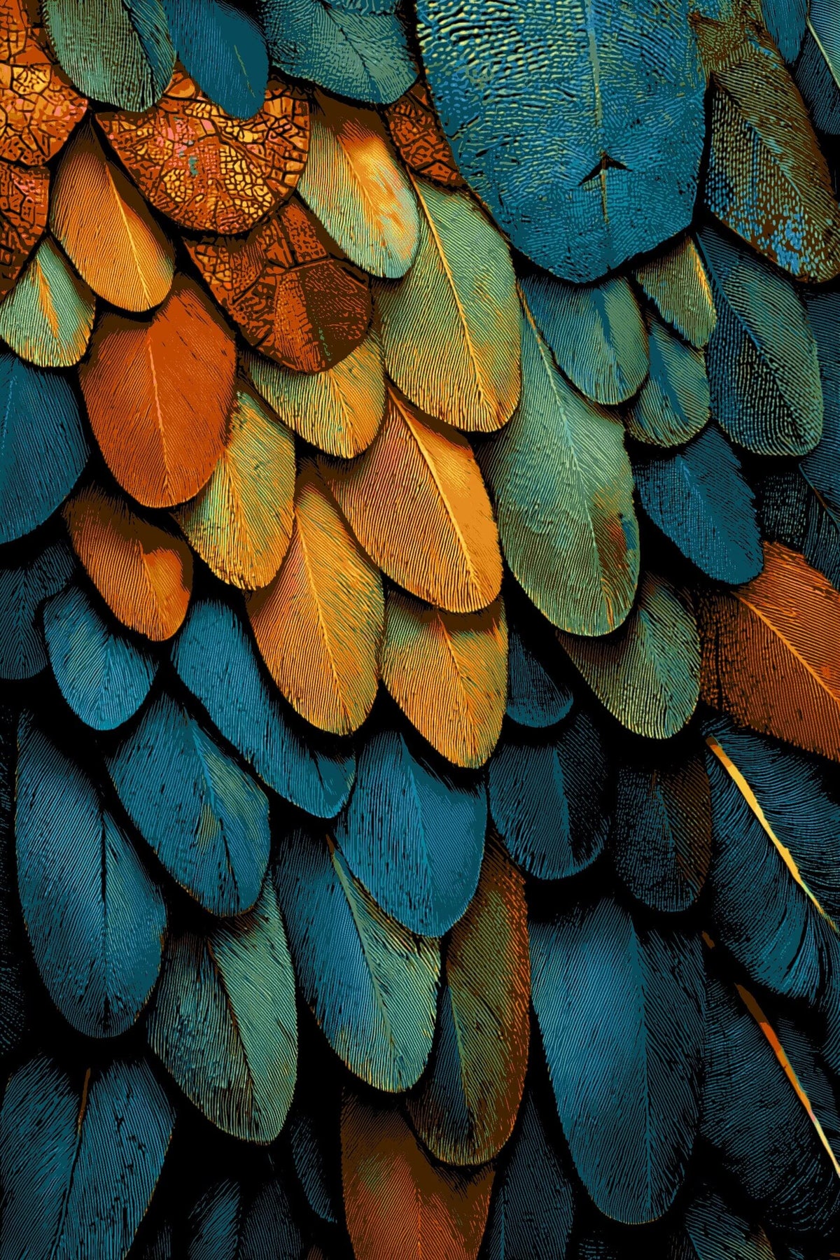 Painting by Numbers Bird Feathers