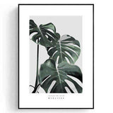 Painting by Numbers Plants