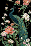 Painting by Numbers Animals Peacock Flowers