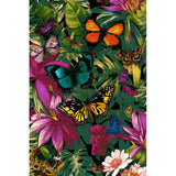 Painting by Numbers Butterflies and Flowers