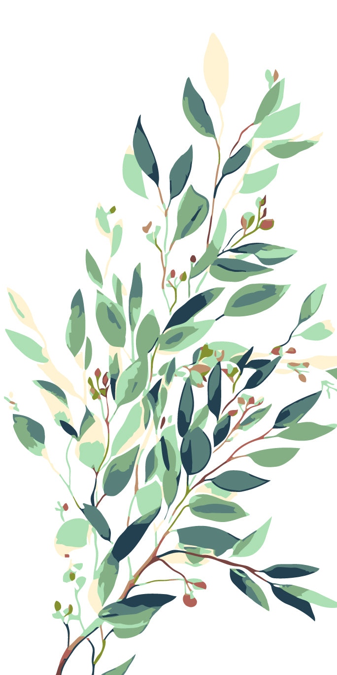 Paint by Numbers Eucalyptus