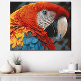 Painting by Numbers Parrot Colorful